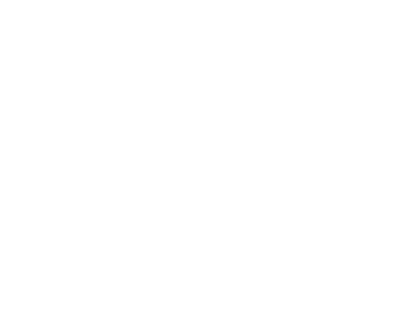 FG