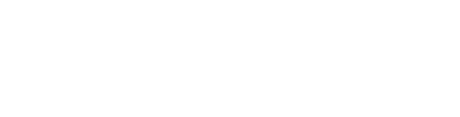 Nextgun