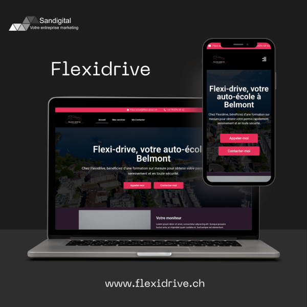 Flexidrive site internet