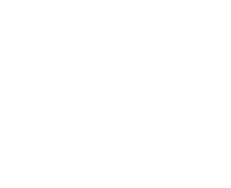 FG