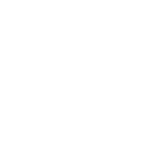 NewSight